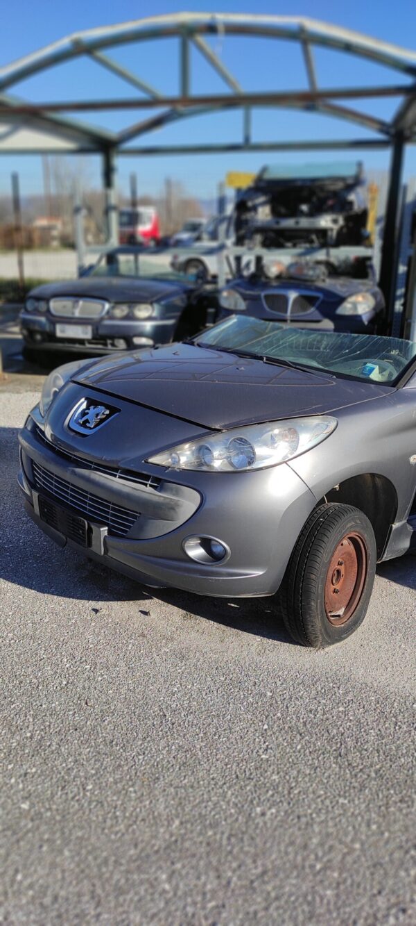 PEUGEOT 206 2007 (2)